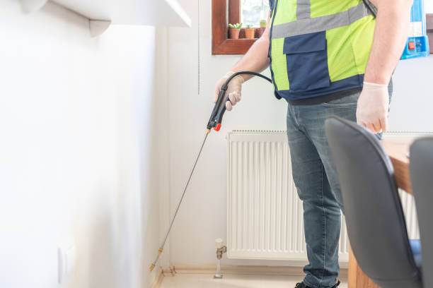 Best Termite Control Services  in Bowling Green, OH