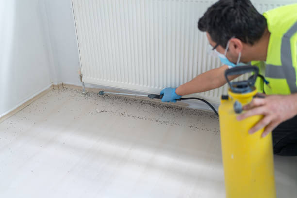 Best Pest Control Near Me  in Bowling Green, OH